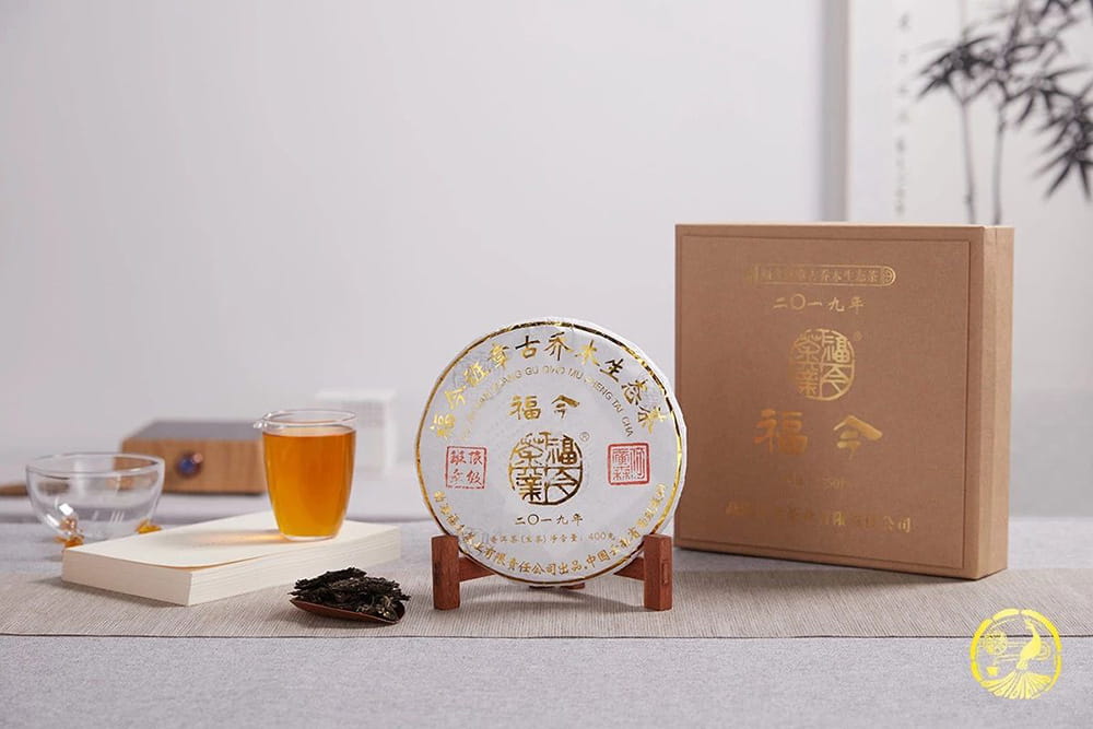 生态好茶，百世芬芳 | 福今茶业广州茶博会亮点抢先看