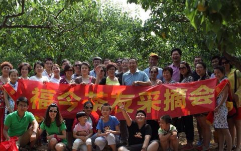 福今山西茶友采摘会