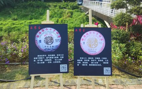 广西福今茶业“药园幽香·茶席盛宴”活动圆满落幕