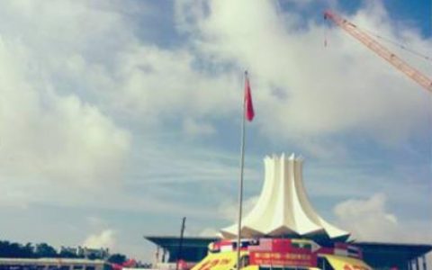 东盟盛况 | 好茶无国界，以茶会佳友