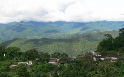 开年寄语 | 一路同行，感恩有你