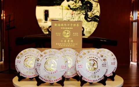 『七星青饼』预告| 我和你之间只差一盏茶的距离