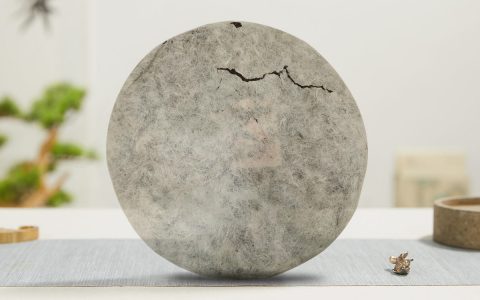 2004年 极品班章四印章青饼
