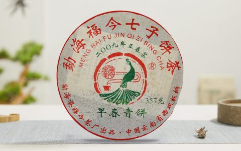 福今2009年早春青饼