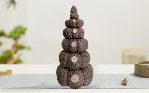 福今2010年金瓜贡茶