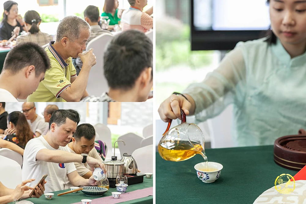 福今茶业“臻于至善·印章青饼”2019品鉴会精彩回顾