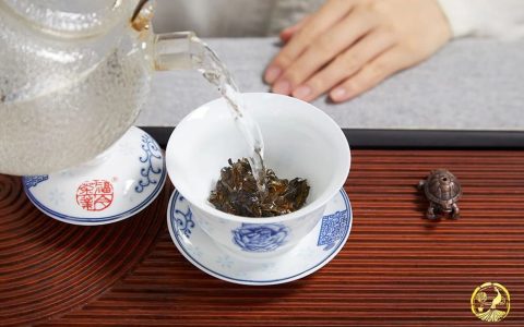  揭秘福今茶创办人的追梦之路