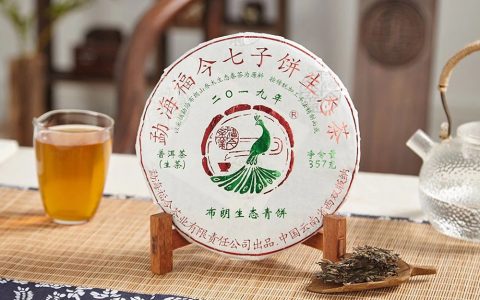 布朗系列 | 福今茶业2019年『布朗生态青饼』即将发售！