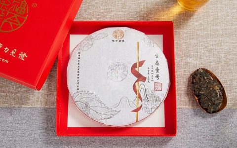时间见证品质 | 福今茶业2019年生态壹号青饼正式发售！