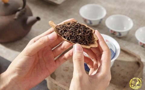 一篇文章读懂普洱熟茶，建议收藏！