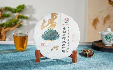 金秋好茶丨福今茶业2021年『布朗老树生态白茶』上新优惠！