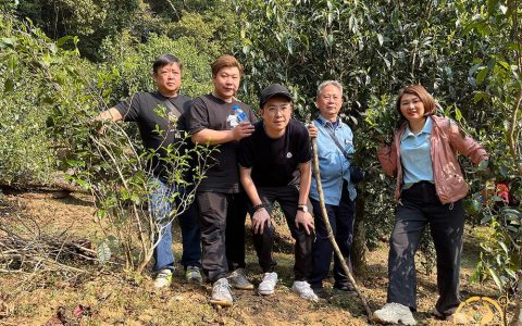 从春日开始，传承一杯好茶！