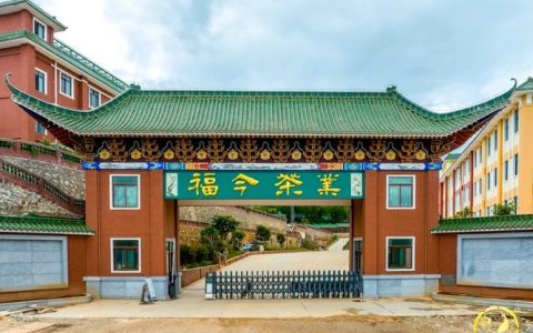 福今茶业有限公司官网探索茶的无限魅力