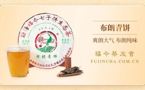 布朗系列丨福今茶业2023年『布朗青饼』正式发售！