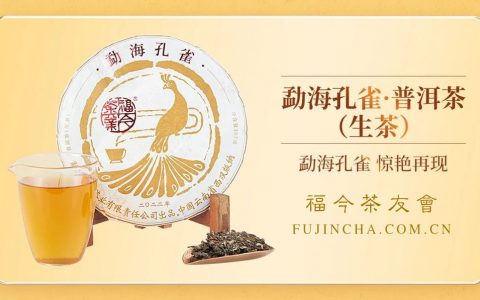 特供丨福今茶业2022年勐海孔雀正式发售！