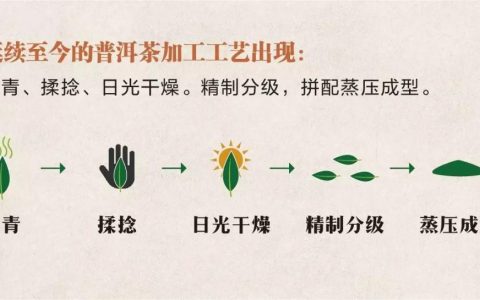 探索福今普洱茶的制作流程品味传承的独特风味