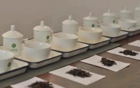 鉴定方法和标准——品味正宗的福今普洱茶