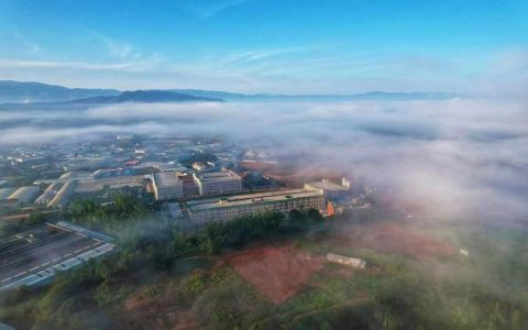 福今茶业品质、价格、市场影响力的完美结合