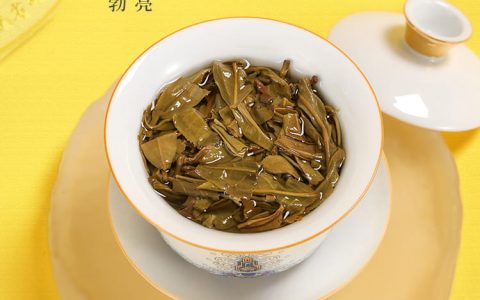 选择福今茶业品味多样化的高品质普洱茶