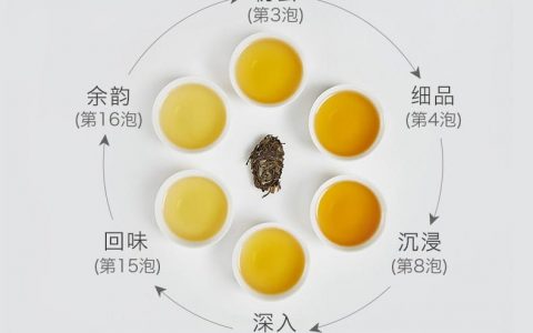 探索福今普洱茶茶友会官网的价格之谜
