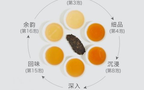 购买指南：如何选择适合自己的福今普洱茶
