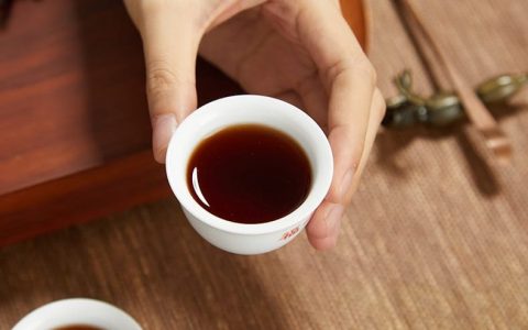 普洱茶提升消化功能改善肠道健康