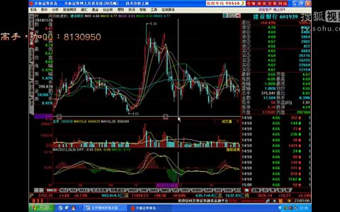 福今茶业2023最新价格行情走势图