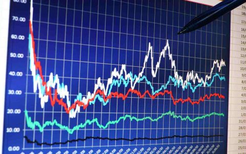 福今茶叶行情网最新消息查询