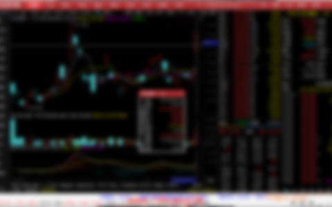 福今茶业行情交易行情分析图片