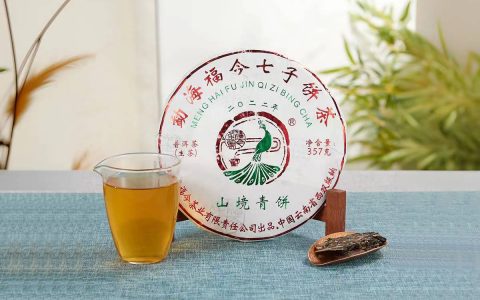 福今2023年山境青饼