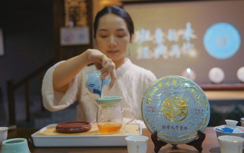 以茶会友 | 福今班章九号青饼东莞品鉴会圆满举办