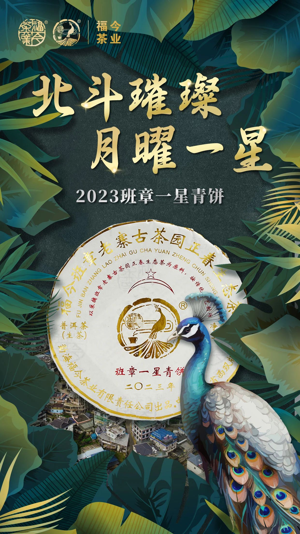 班章孔雀星级系列 | 福今茶业2023『班章一星青饼』正式发售！