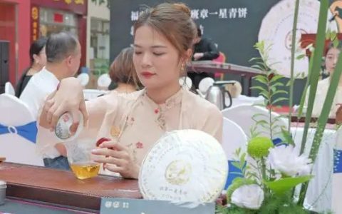 北斗璀璨 月曜一星 | 福今班章一星青饼新品品鉴会.广州站圆满举办