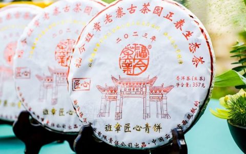 班章好茶 匠心独韵 | 福今2023班章匠心青饼新品发布会圆满举办