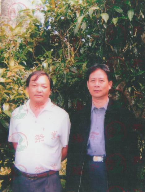 2000年，何广森与勐海茶厂副厂长陈平