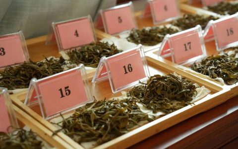懂班章 喝福今 | 第五届新班章村茶叶初制技能比赛圆满举办