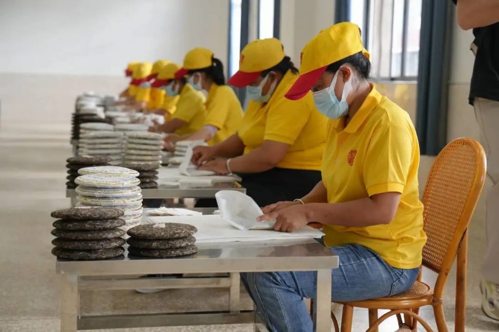 懂班章 喝福今 | 第六届新班章村茶叶初制技能比赛圆满举办