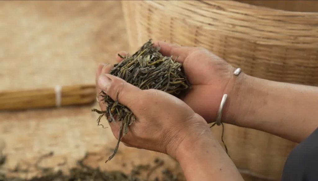 福今普洱茶初制工艺，匠心手工弥足珍贵