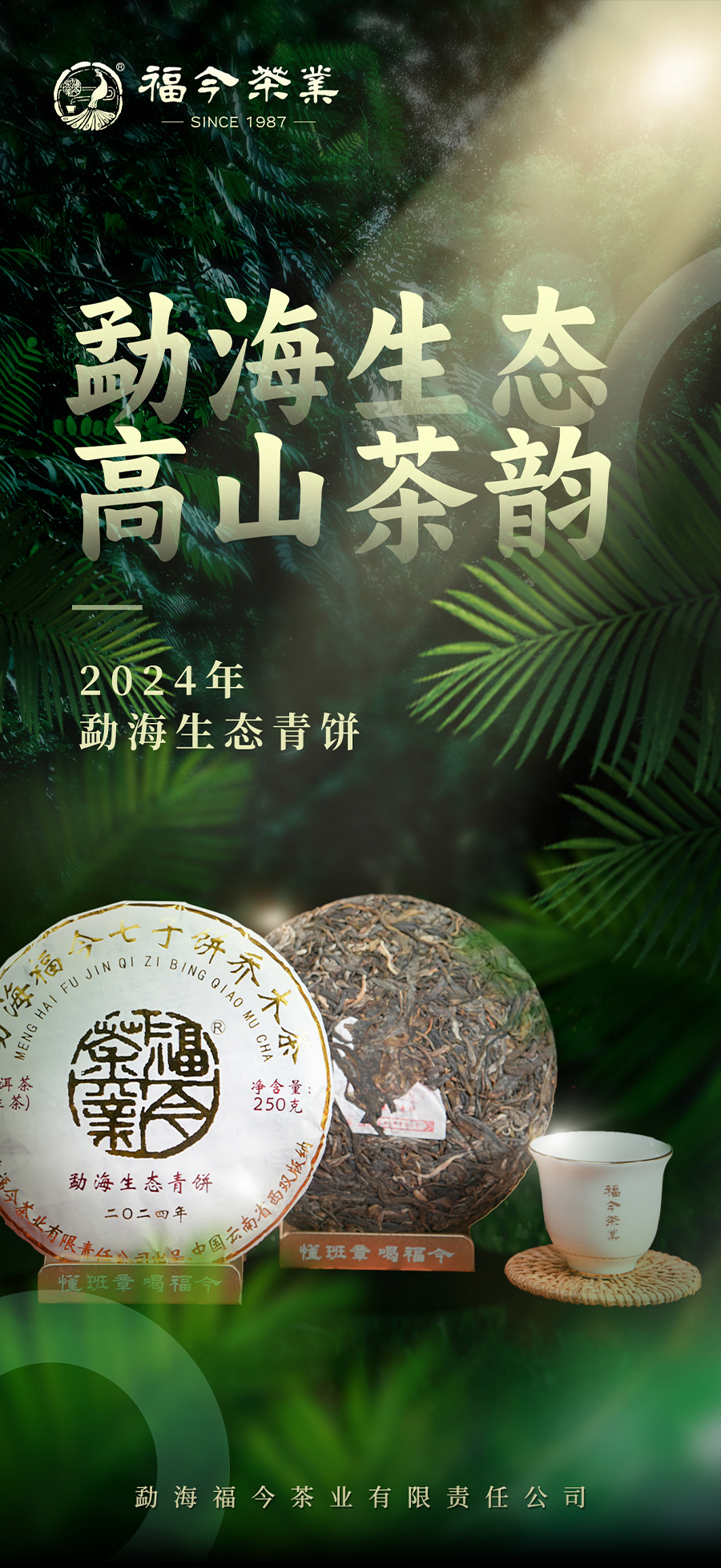 福今2024年勐海生态青饼