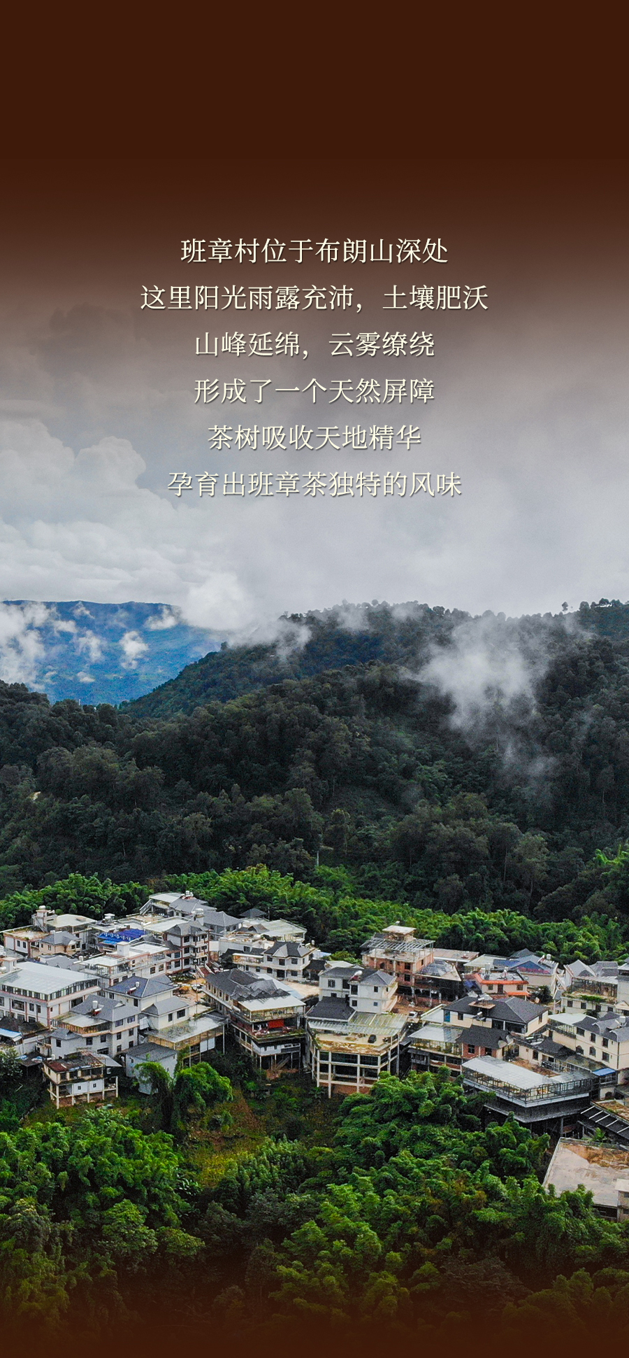 福今2024年班章金砖