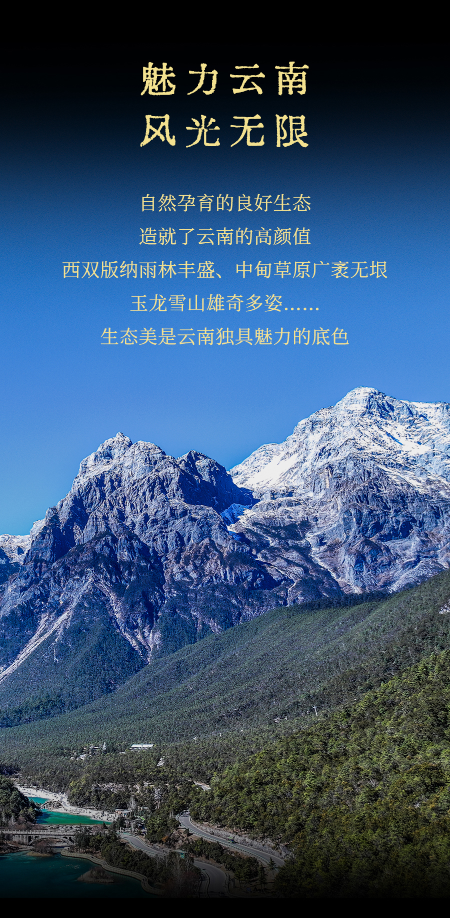 福今2024年布朗孔雀青饼