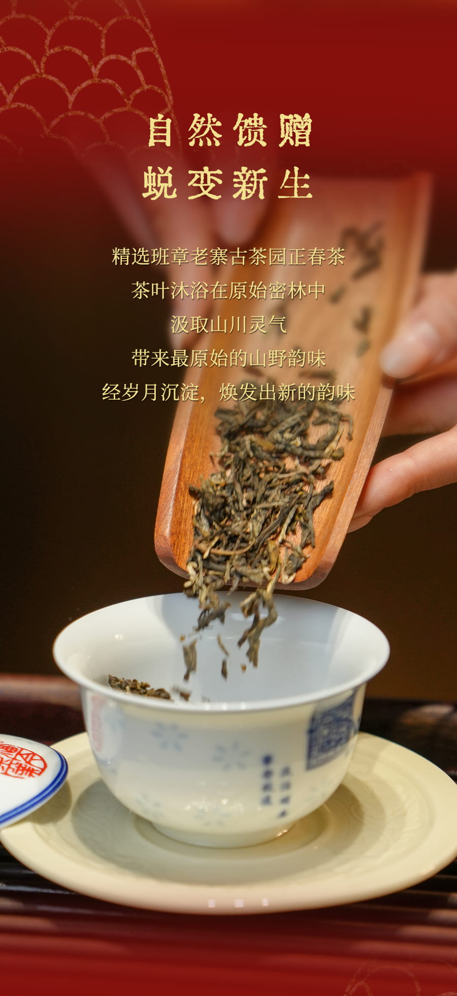 福今2025年乙巳年纪念饼（蛇饼）