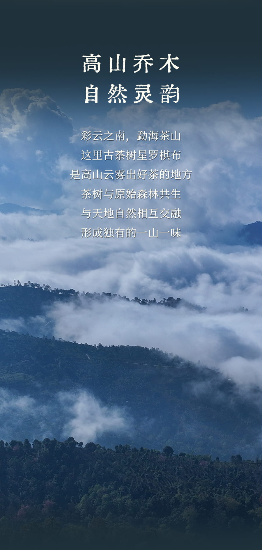 福今2025年福今宫廷