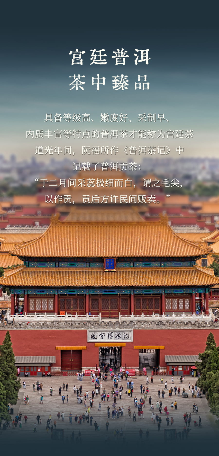 福今2025年福今宫廷