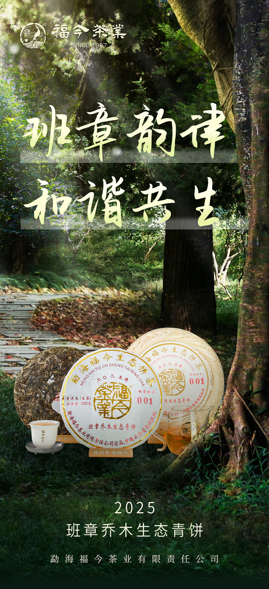 福今2025年班章乔木生态青饼
