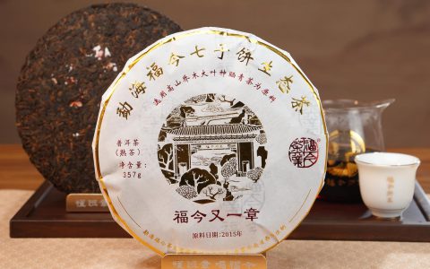 福今2025年福今又一章