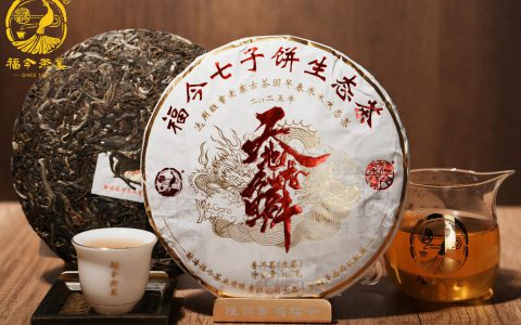 福今2025年天地龙鳞青饼