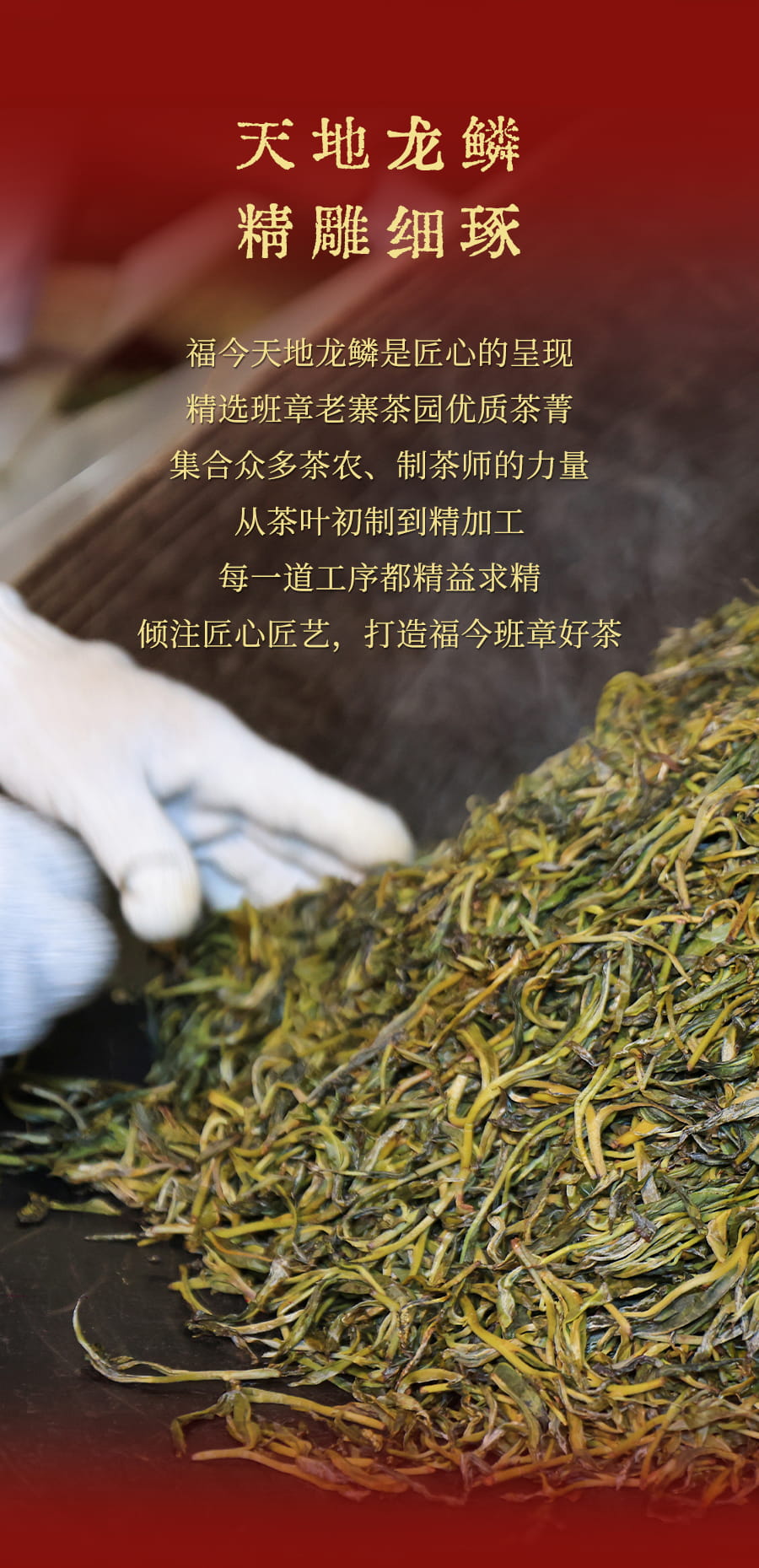 福今2025年天地龙鳞青饼
