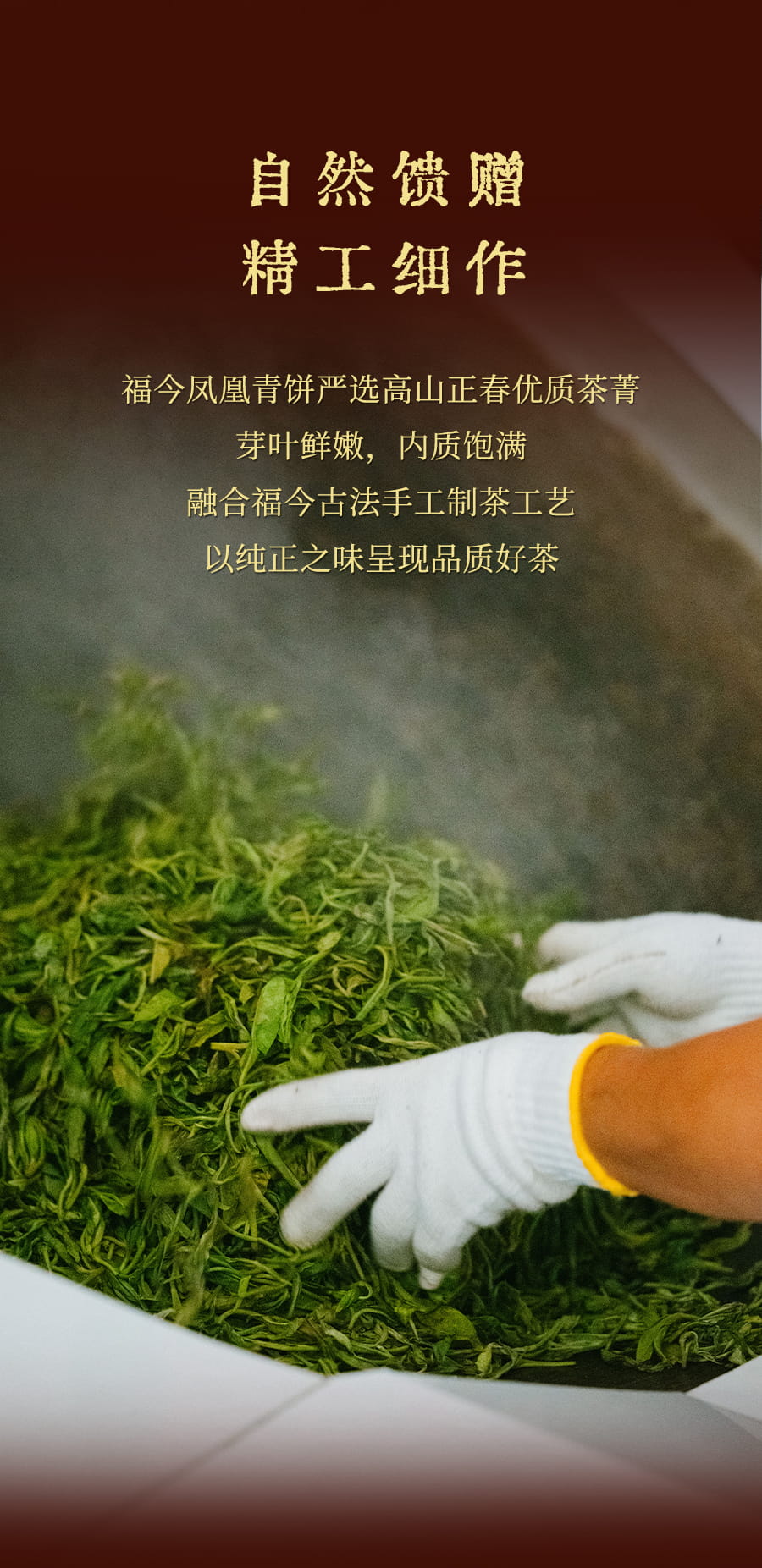 福今2025年福今凤凰青饼