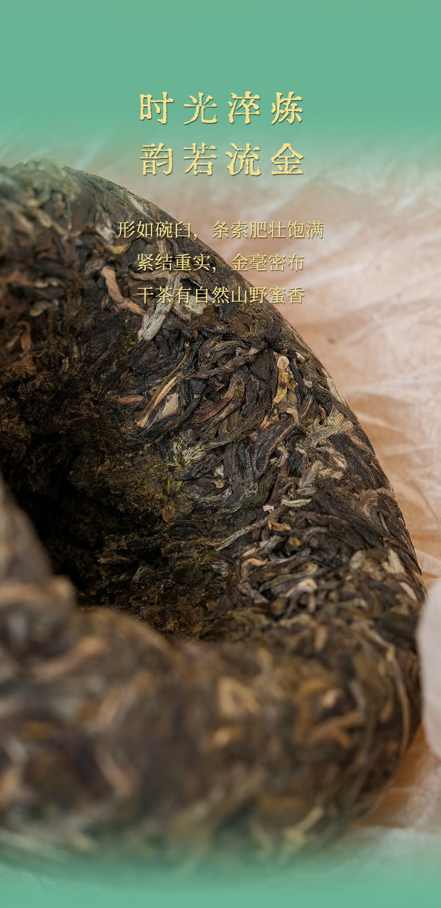 福今2025年班章青沱（大碗口）